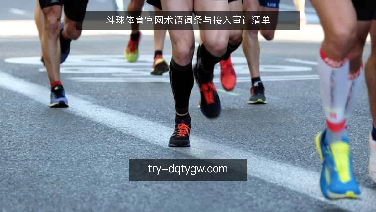 斗球体育官网术语词条与接入审计清单