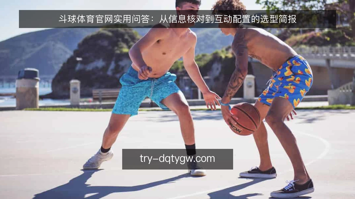 斗球体育官网实用问答:从信息核对到互动配置的选型简报