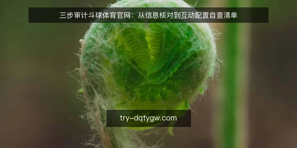 三步审计斗球体育官网:从信息核对到互动配置自查清单 — 为何现在审计斗球体育官网 配图